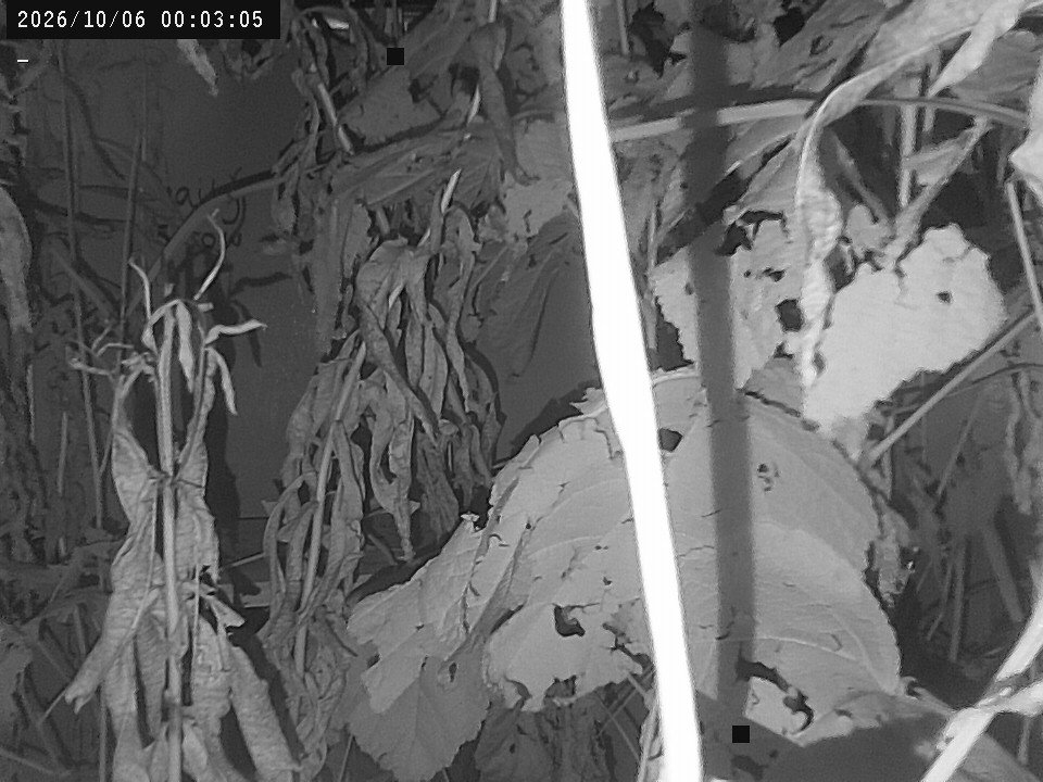 time-lapse frame, Weather Cam webcam