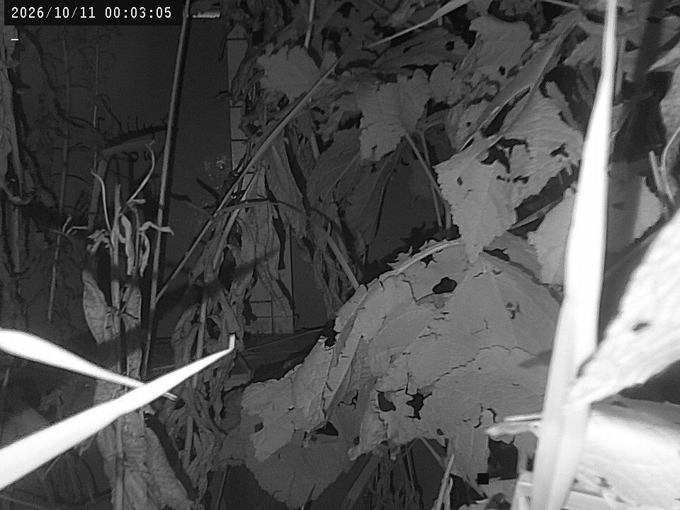 time-lapse frame, Weather Cam webcam