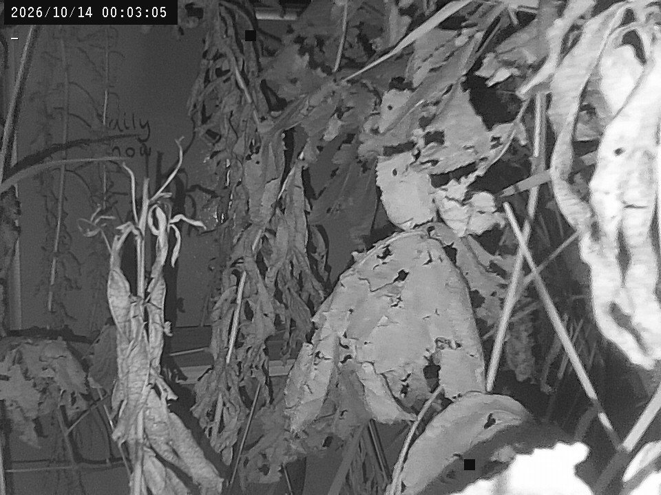 time-lapse frame, Weather Cam webcam