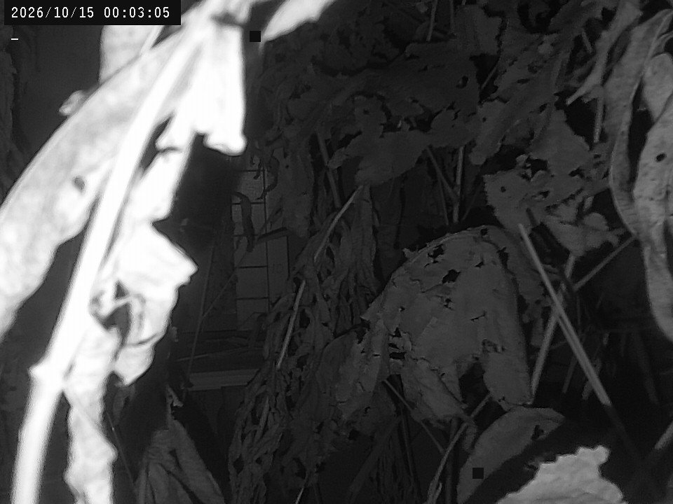 time-lapse frame, Weather Cam webcam