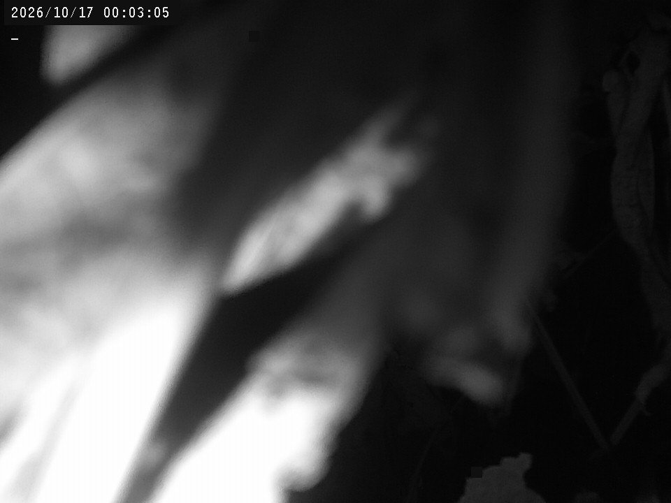 time-lapse frame, Weather Cam webcam