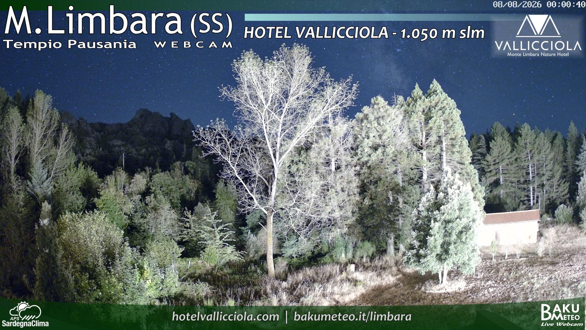 time-lapse frame, Monte Limbara Vallicciola webcam