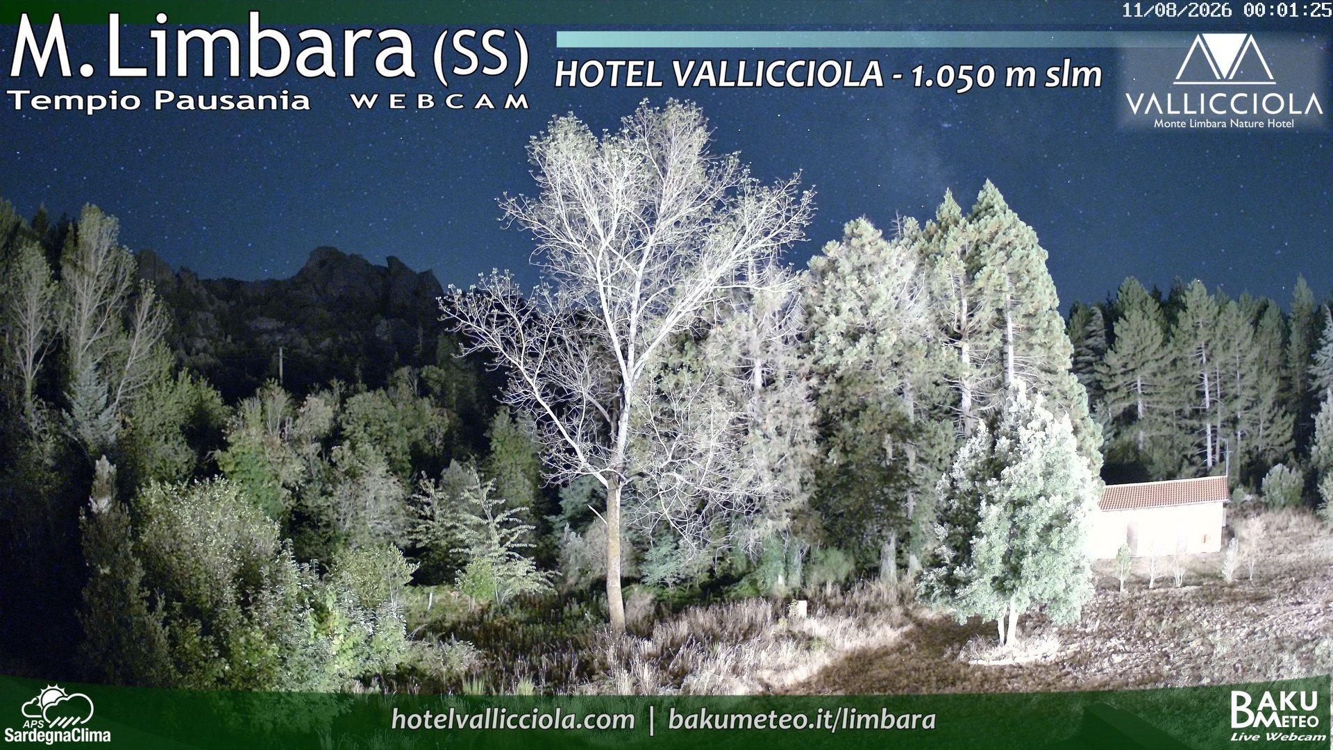 time-lapse frame, Monte Limbara Vallicciola webcam