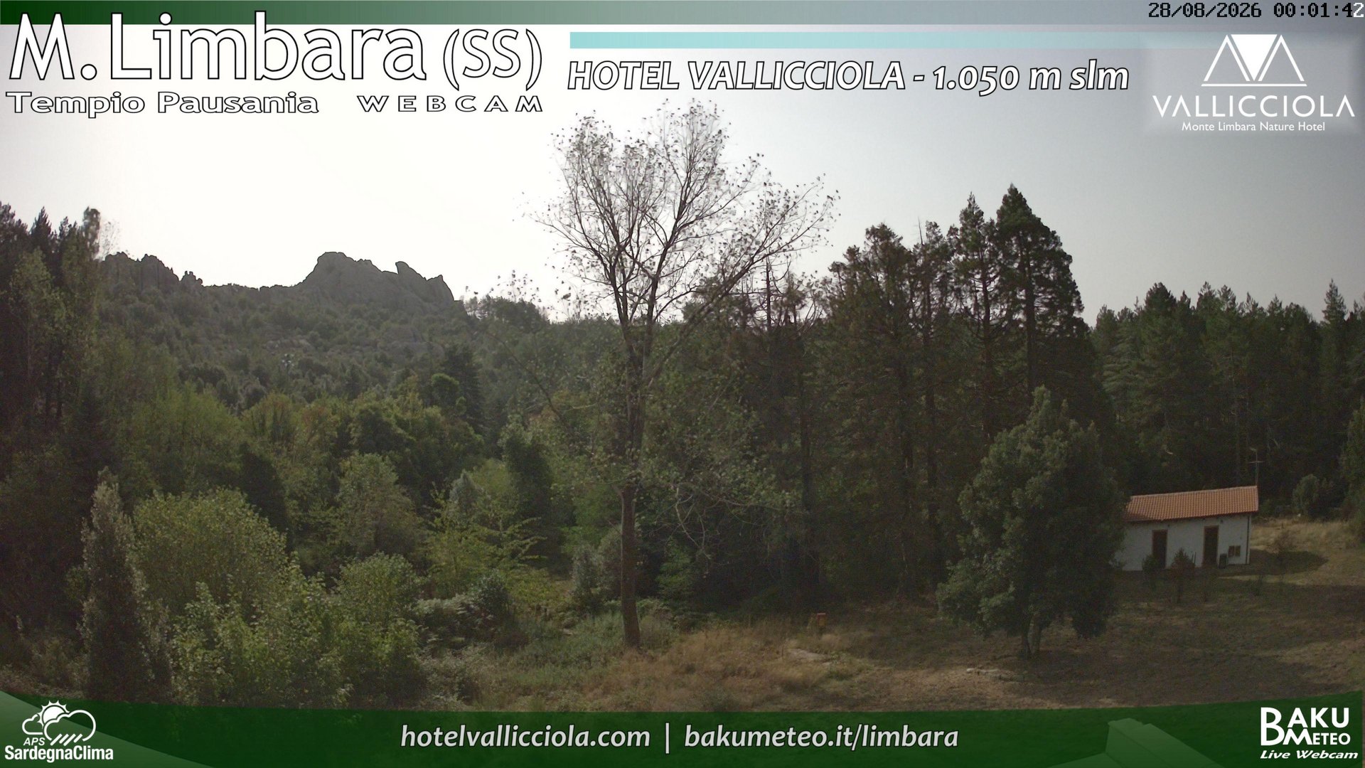 time-lapse frame, Monte Limbara Vallicciola webcam