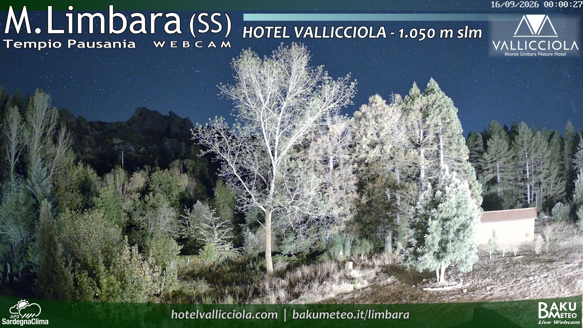 time-lapse frame, Monte Limbara Vallicciola webcam