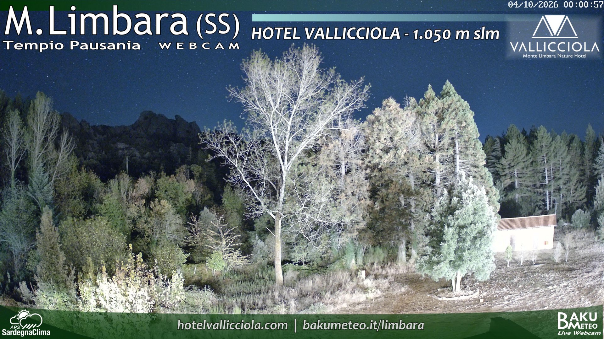 time-lapse frame, Monte Limbara Vallicciola webcam