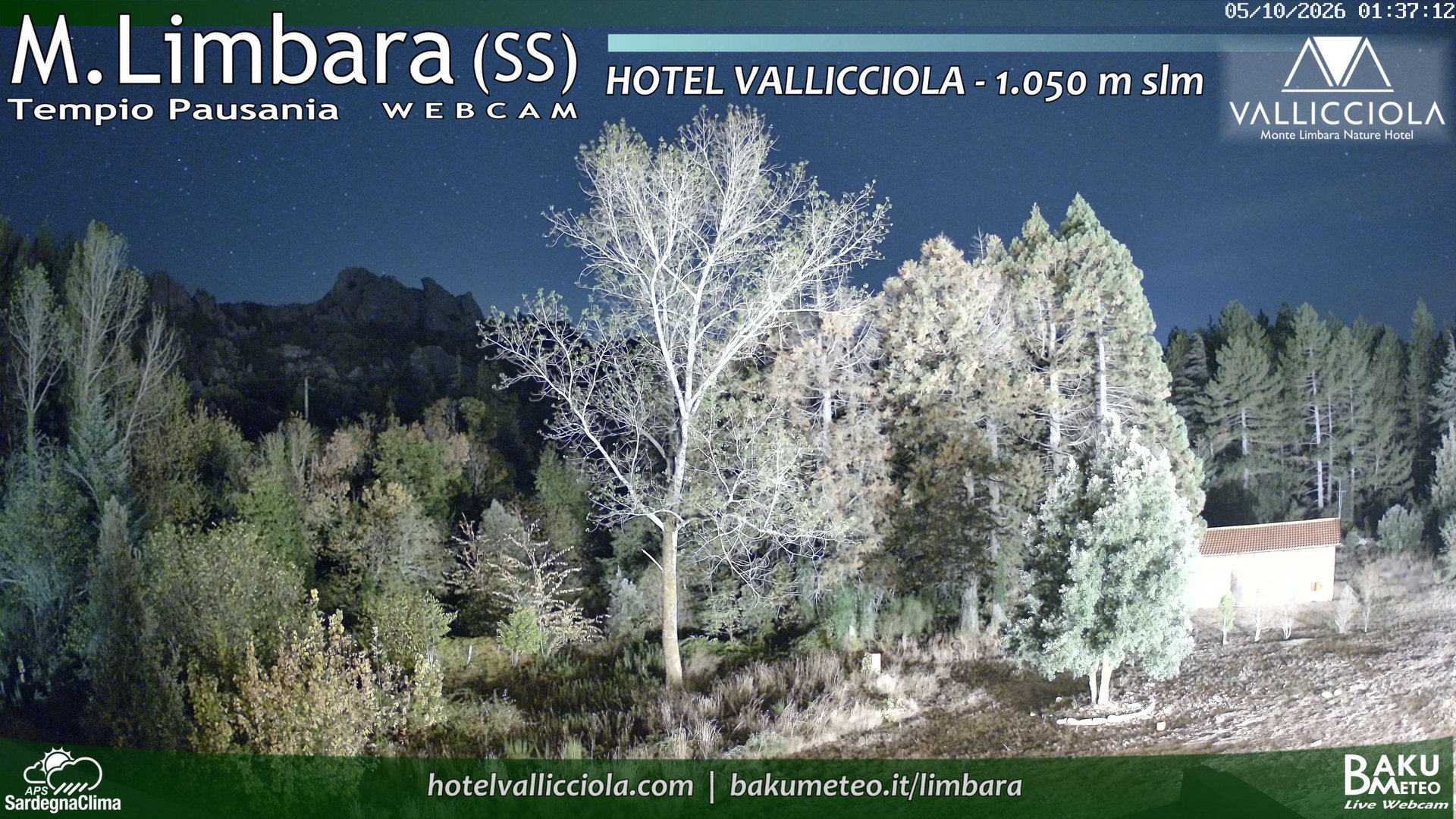 view from Monte Limbara Vallicciola on 2026-10-05
