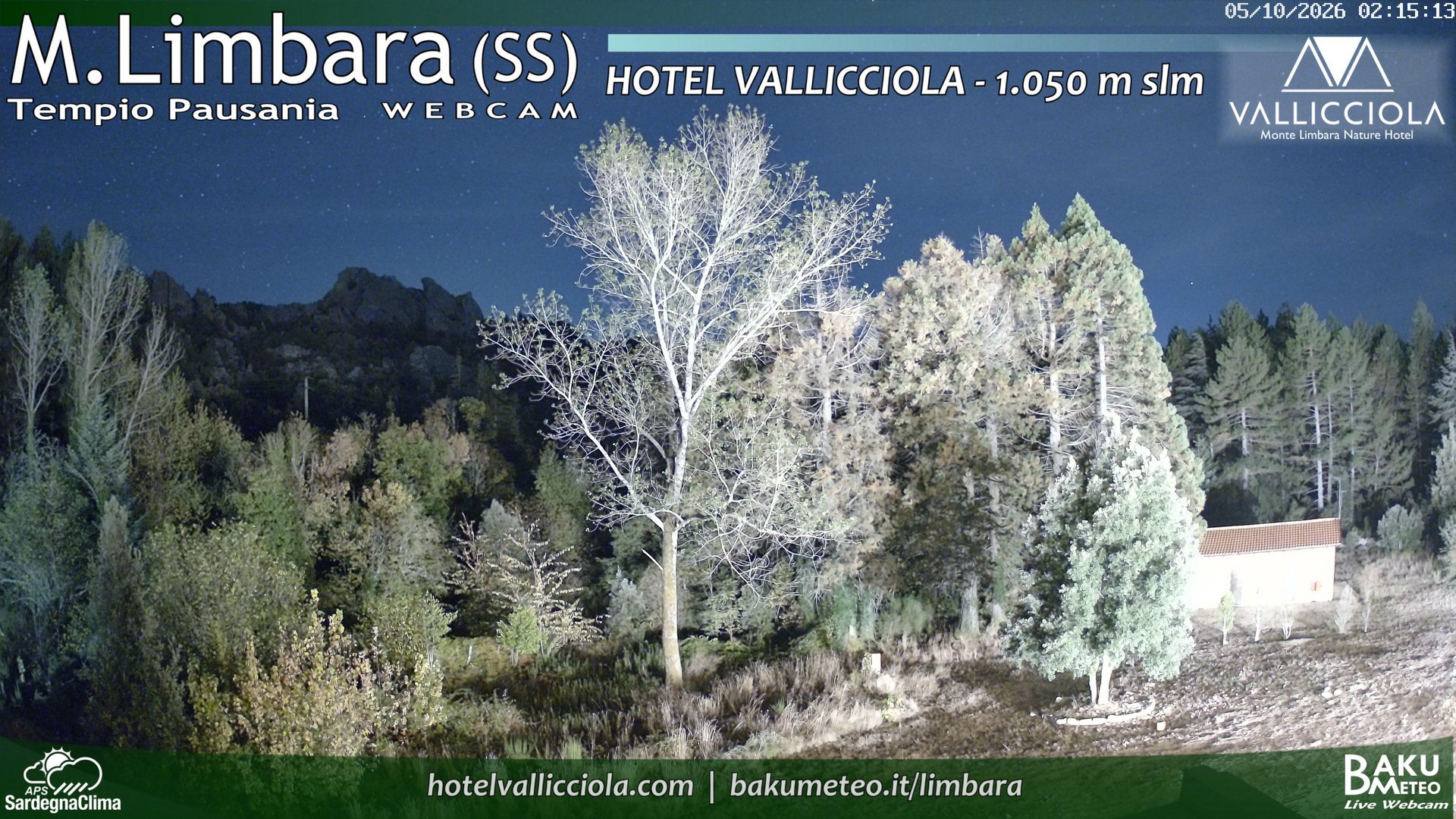 view from Monte Limbara Vallicciola on 2026-10-05