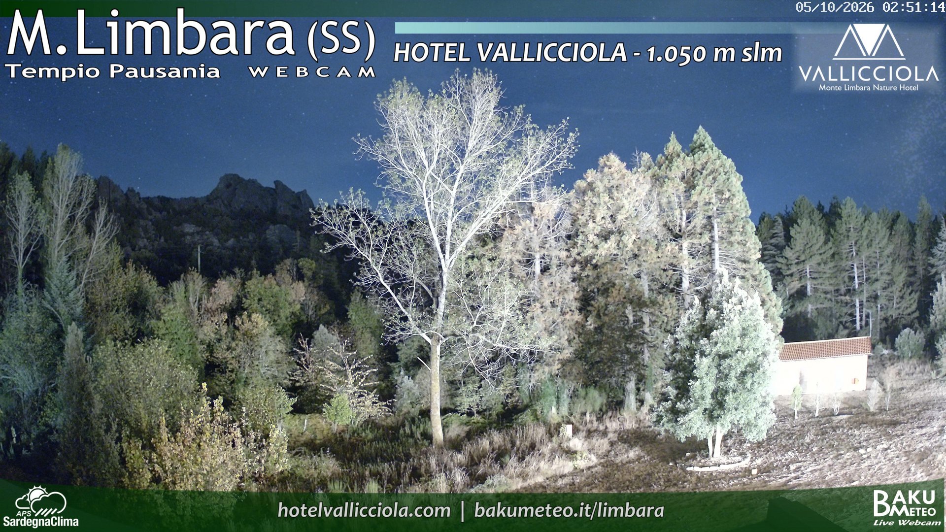 view from Monte Limbara Vallicciola on 2026-10-05