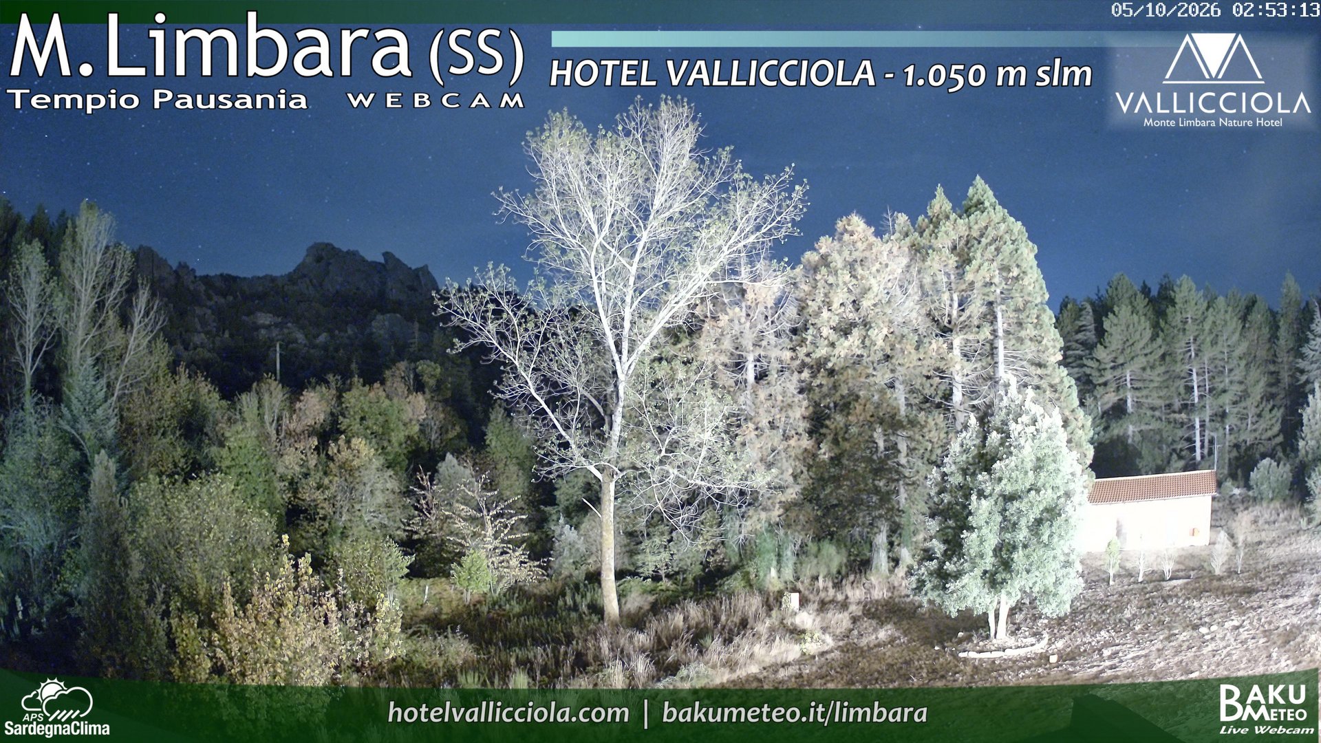 view from Monte Limbara Vallicciola on 2026-10-05
