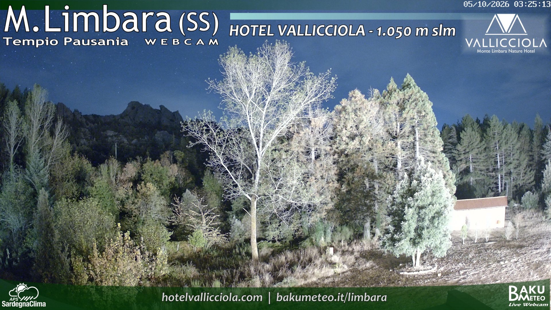 view from Monte Limbara Vallicciola on 2026-10-05