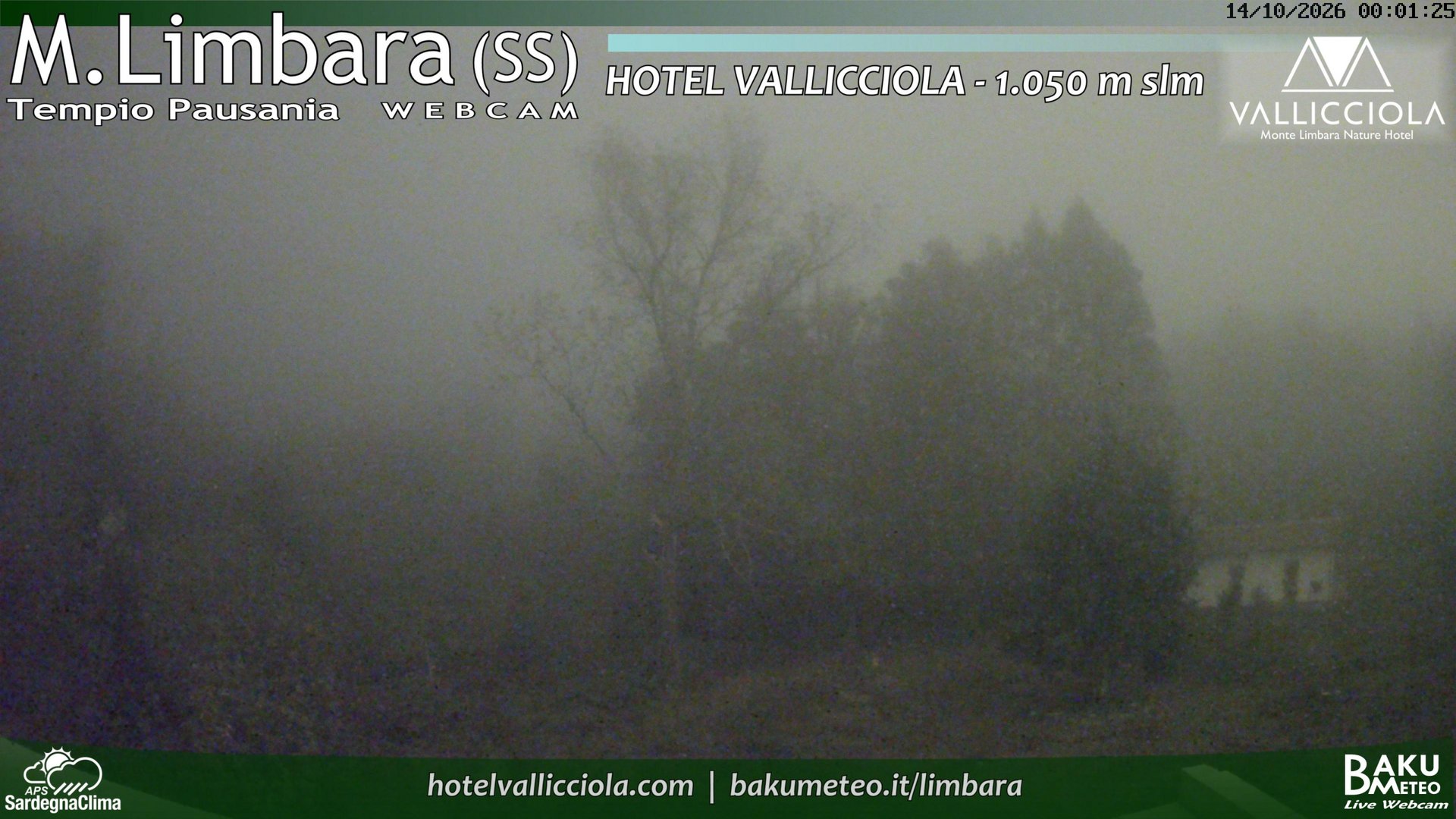 time-lapse frame, Monte Limbara Vallicciola webcam