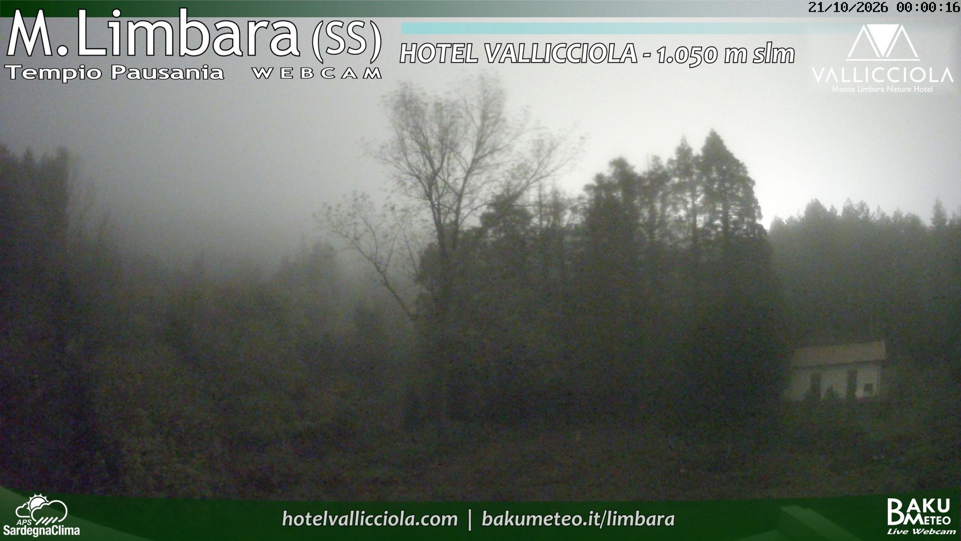 time-lapse frame, Monte Limbara Vallicciola webcam