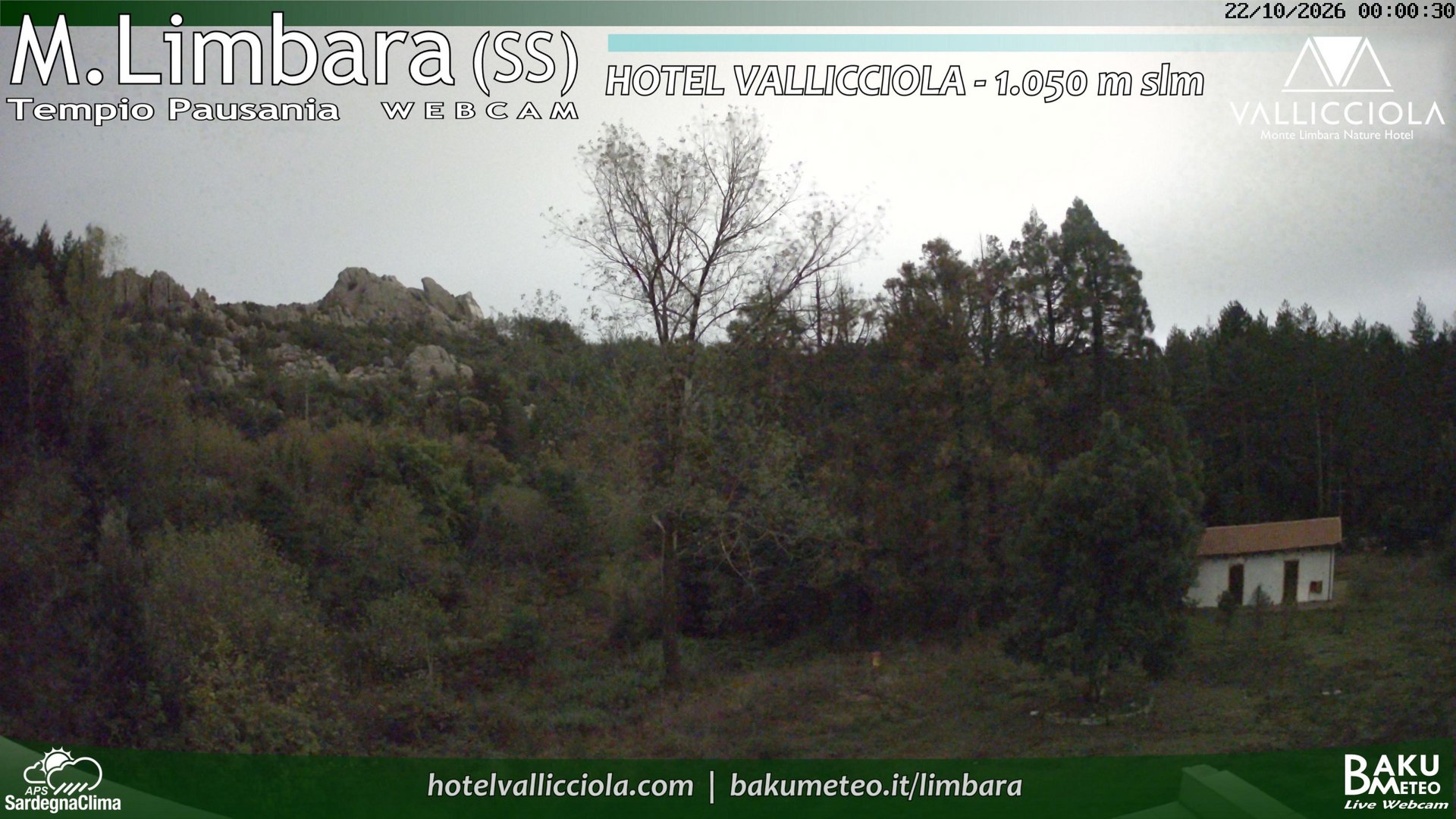 time-lapse frame, Monte Limbara Vallicciola webcam