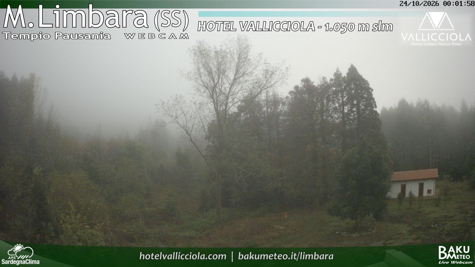 time-lapse frame, Monte Limbara Vallicciola webcam
