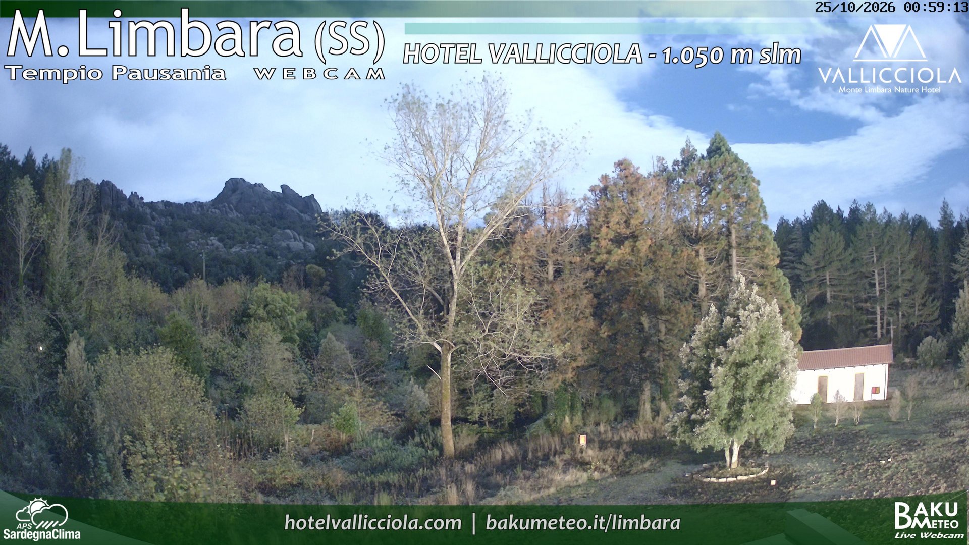 time-lapse frame, Monte Limbara Vallicciola webcam