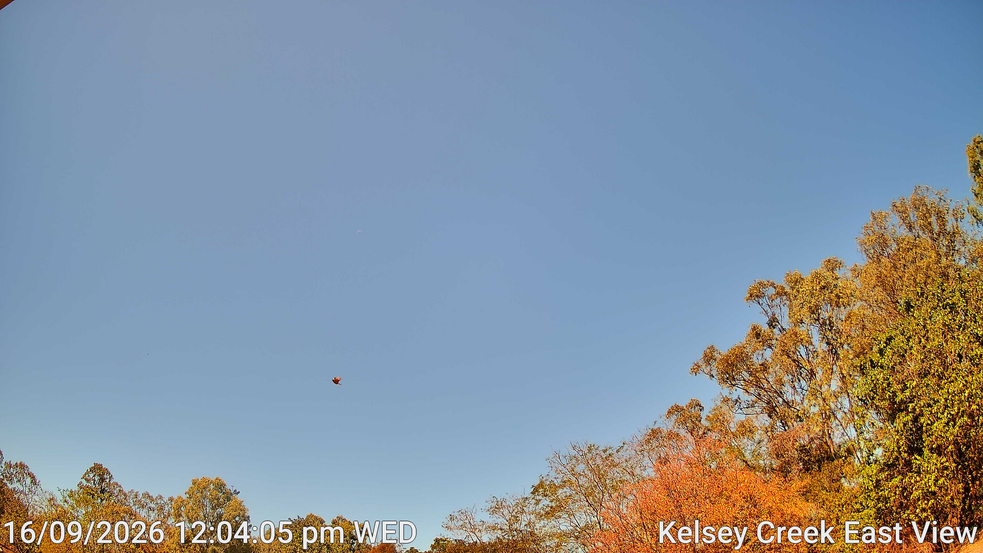view from Kelsey Creek East View on 2026-09-16
