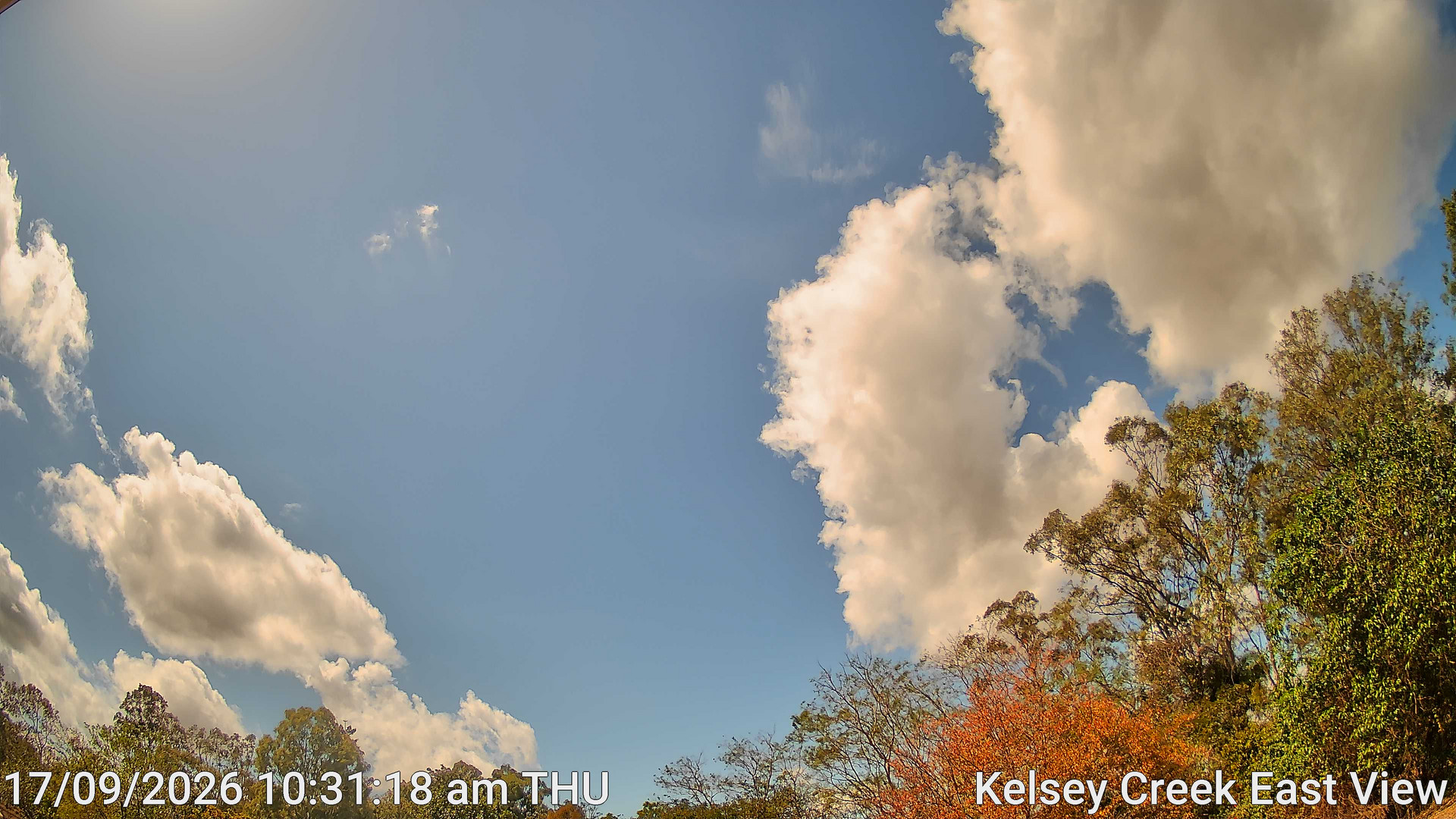 time-lapse frame, Kelsey Creek East View webcam
