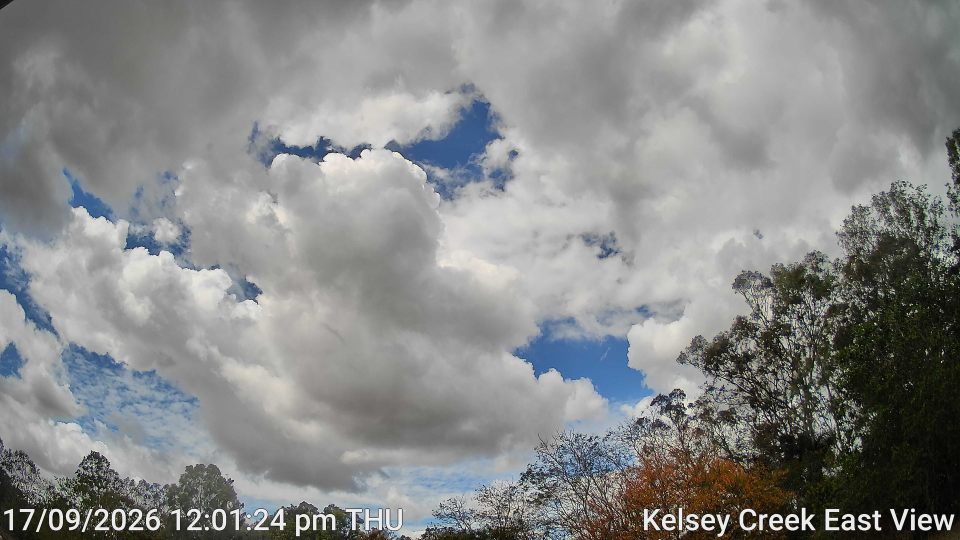 view from Kelsey Creek East View on 2026-09-17
