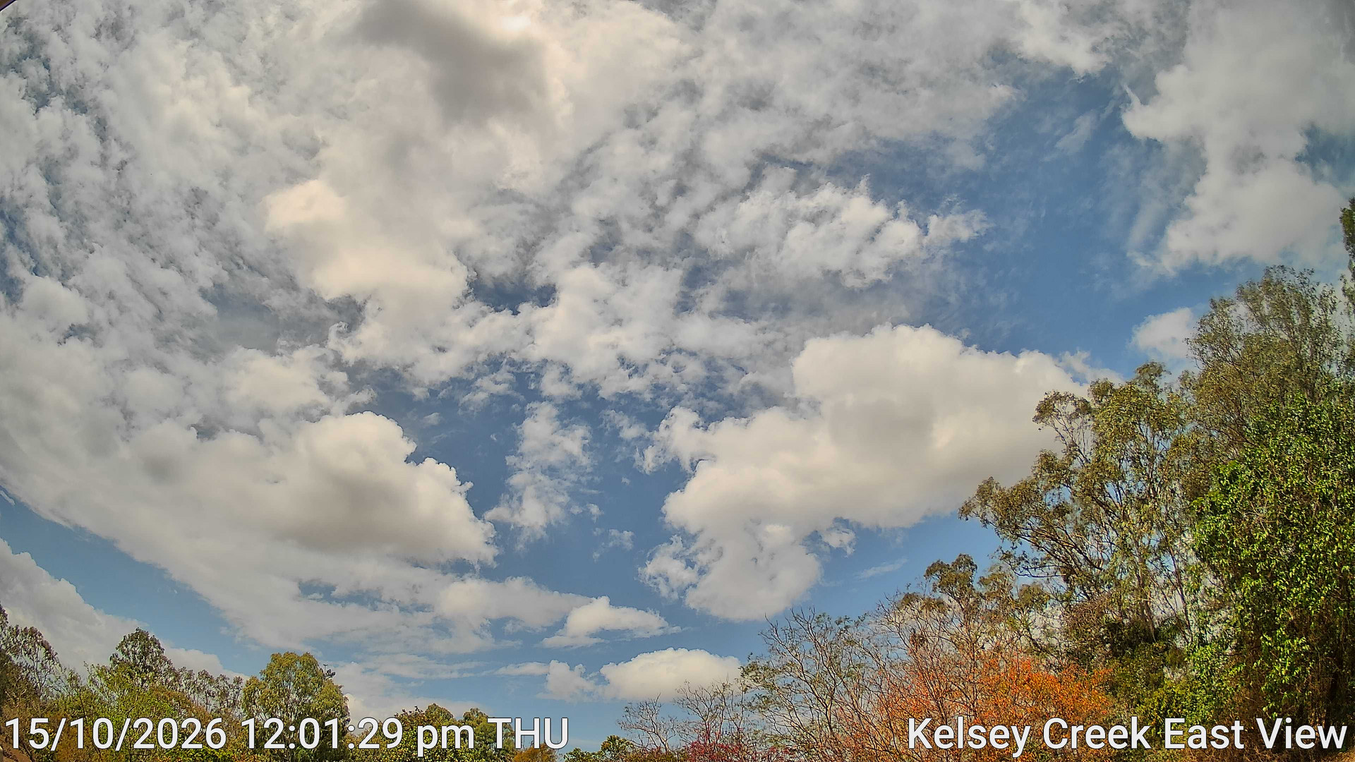 view from Kelsey Creek East View on 2026-10-15
