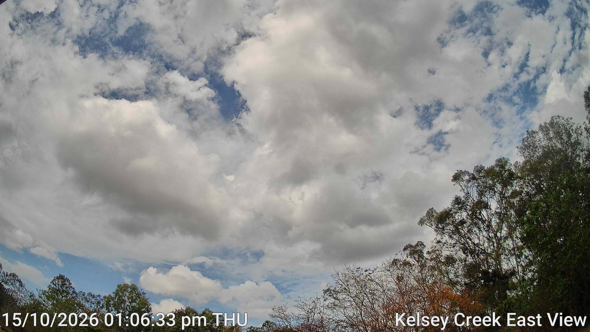 time-lapse frame, Kelsey Creek East View webcam