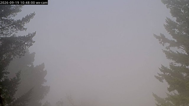 view from Kings Mountain on 2026-09-19