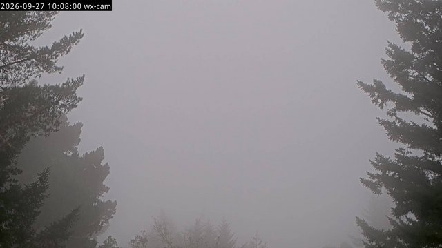 view from Kings Mountain on 2026-09-27