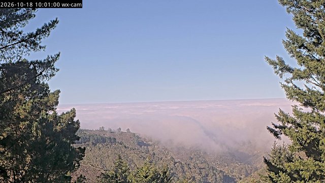 view from Kings Mountain on 2026-10-18