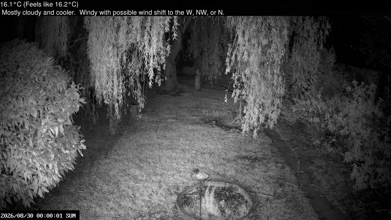 time-lapse frame, Wembury, Devon. Garden Cam webcam