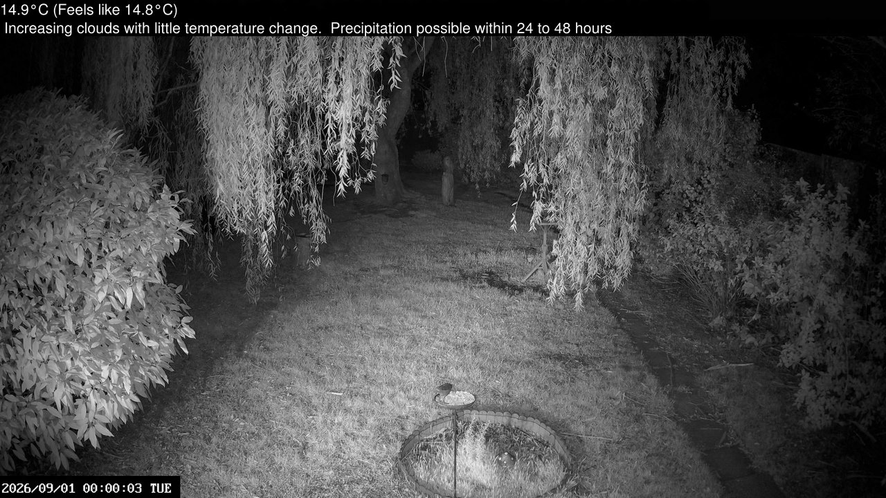 time-lapse frame, Wembury, Devon. Garden Cam webcam