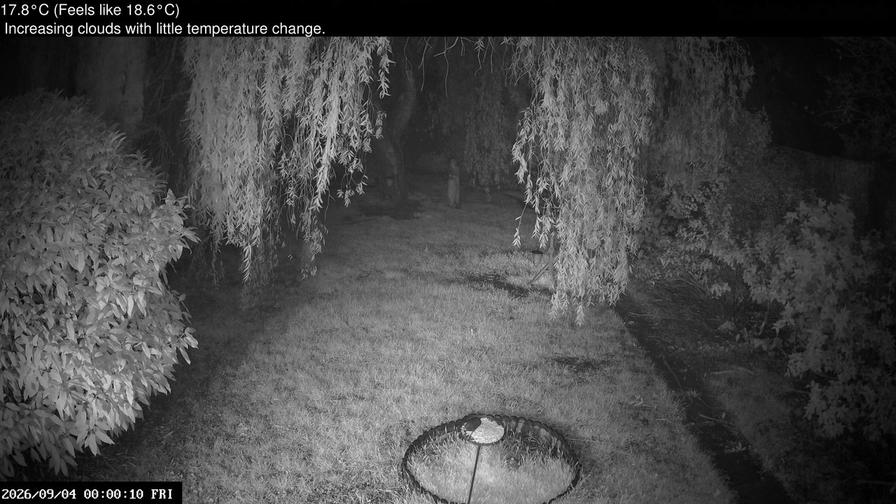 time-lapse frame, Wembury, Devon. Garden Cam webcam
