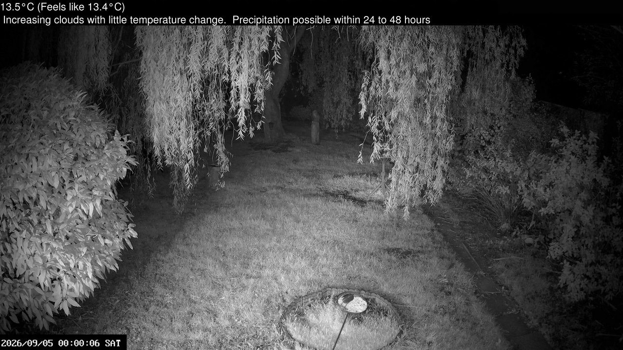 time-lapse frame, Wembury, Devon. Garden Cam webcam