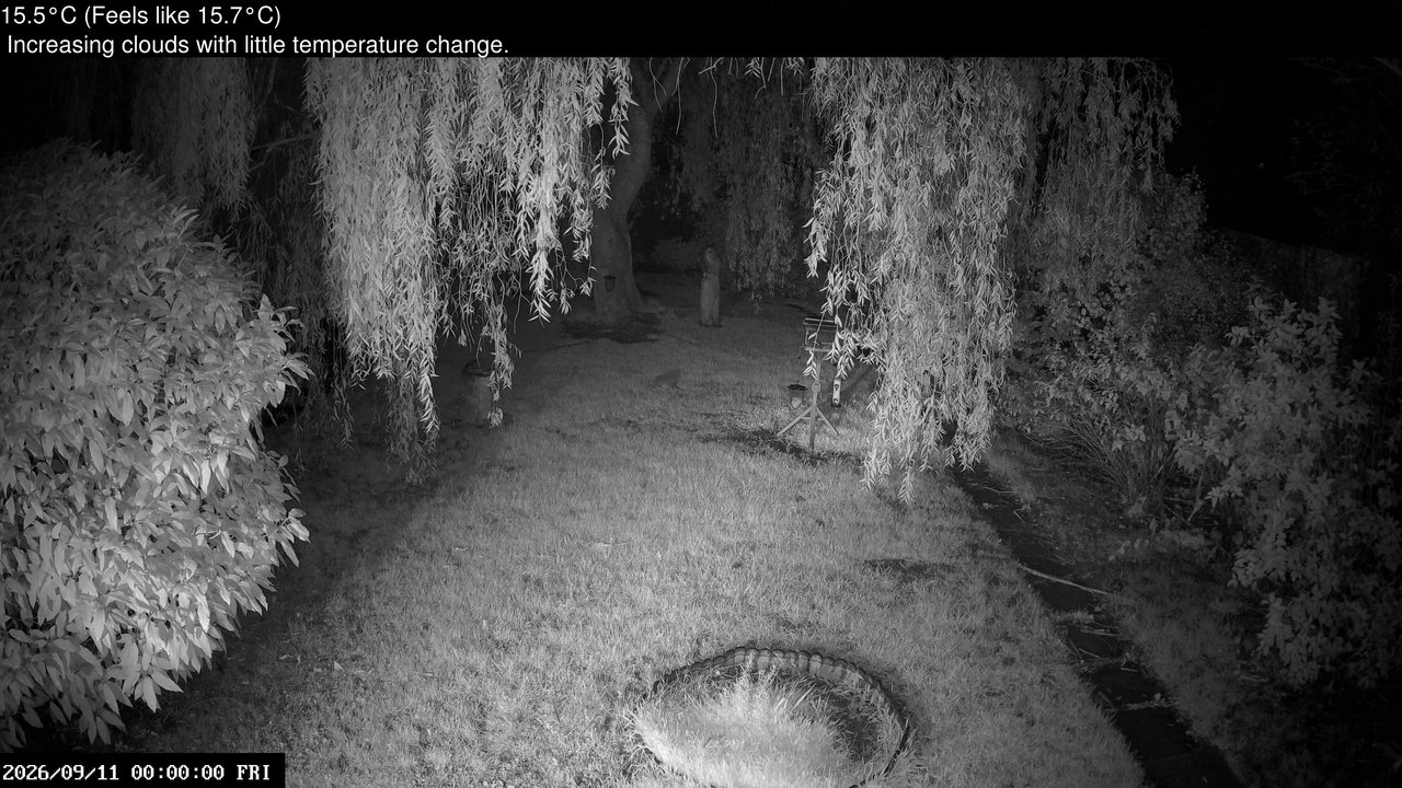 time-lapse frame, Wembury, Devon. Garden Cam webcam