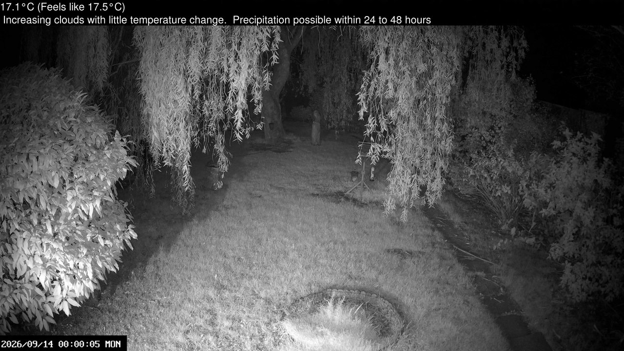 time-lapse frame, Wembury, Devon. Garden Cam webcam