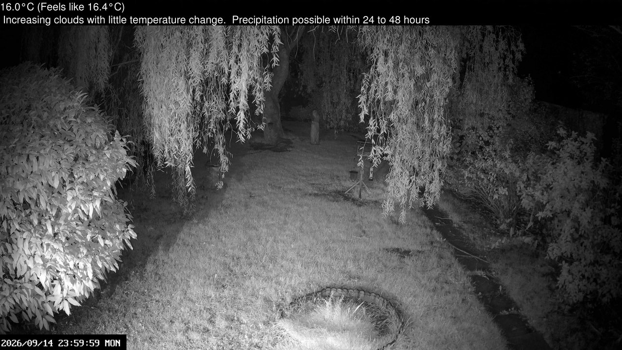 time-lapse frame, Wembury, Devon. Garden Cam webcam