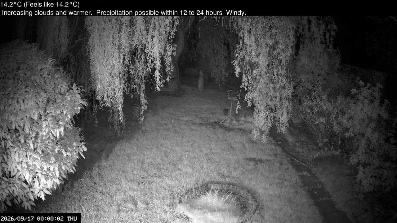 time-lapse frame, Wembury, Devon. Garden Cam webcam