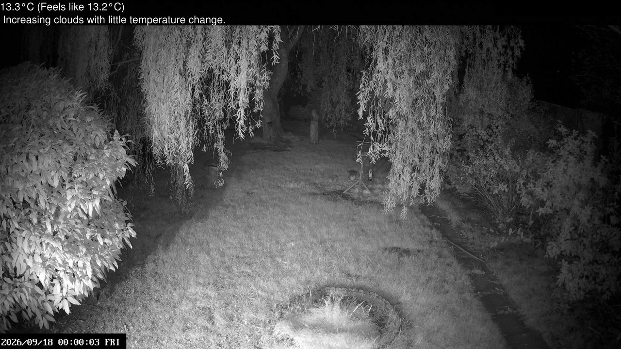 time-lapse frame, Wembury, Devon. Garden Cam webcam