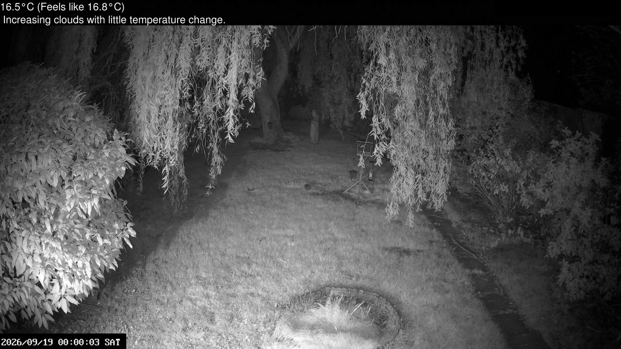 time-lapse frame, Wembury, Devon. Garden Cam webcam