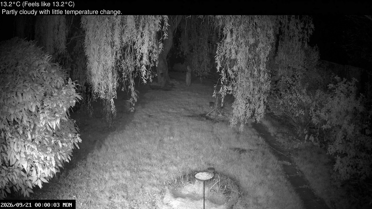 time-lapse frame, Wembury, Devon. Garden Cam webcam