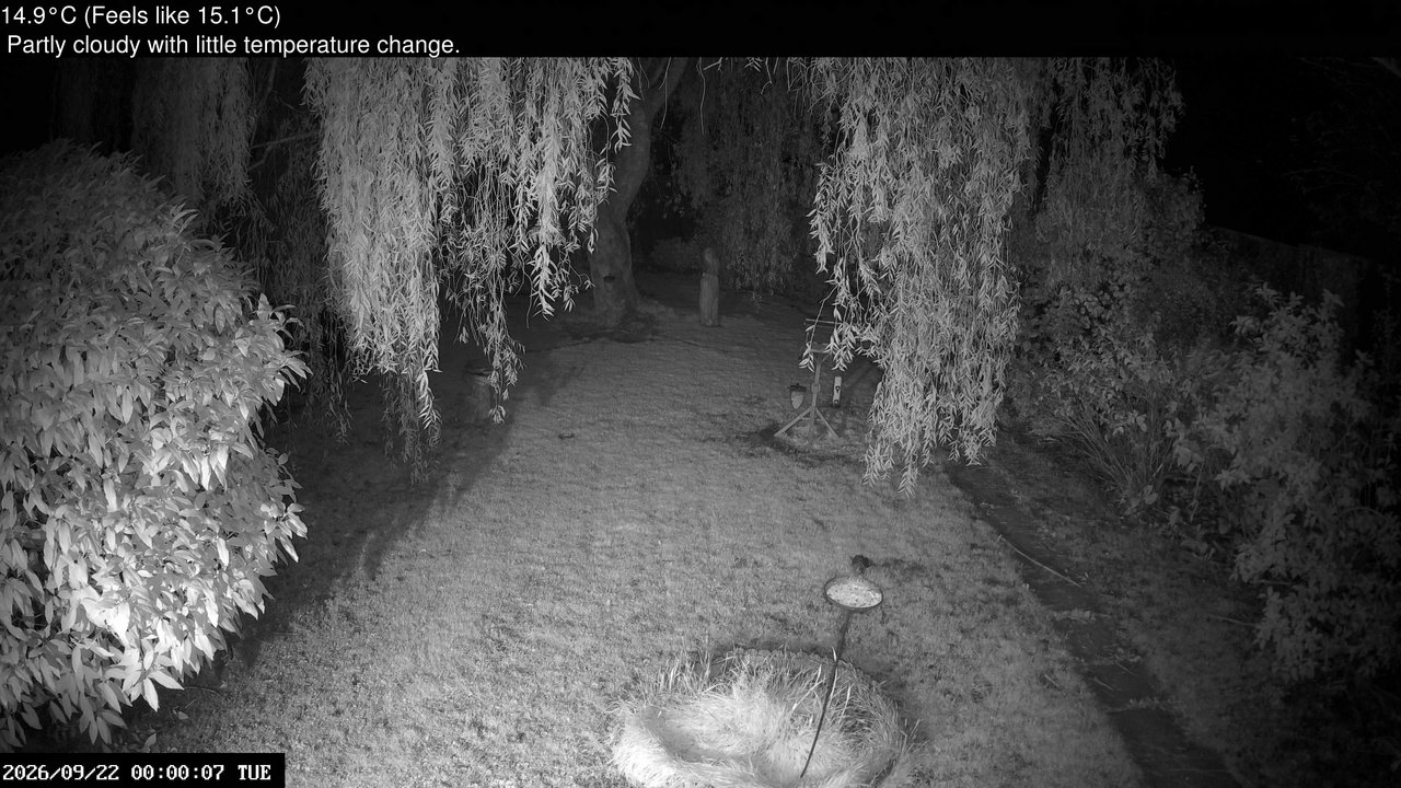 time-lapse frame, Wembury, Devon. Garden Cam webcam