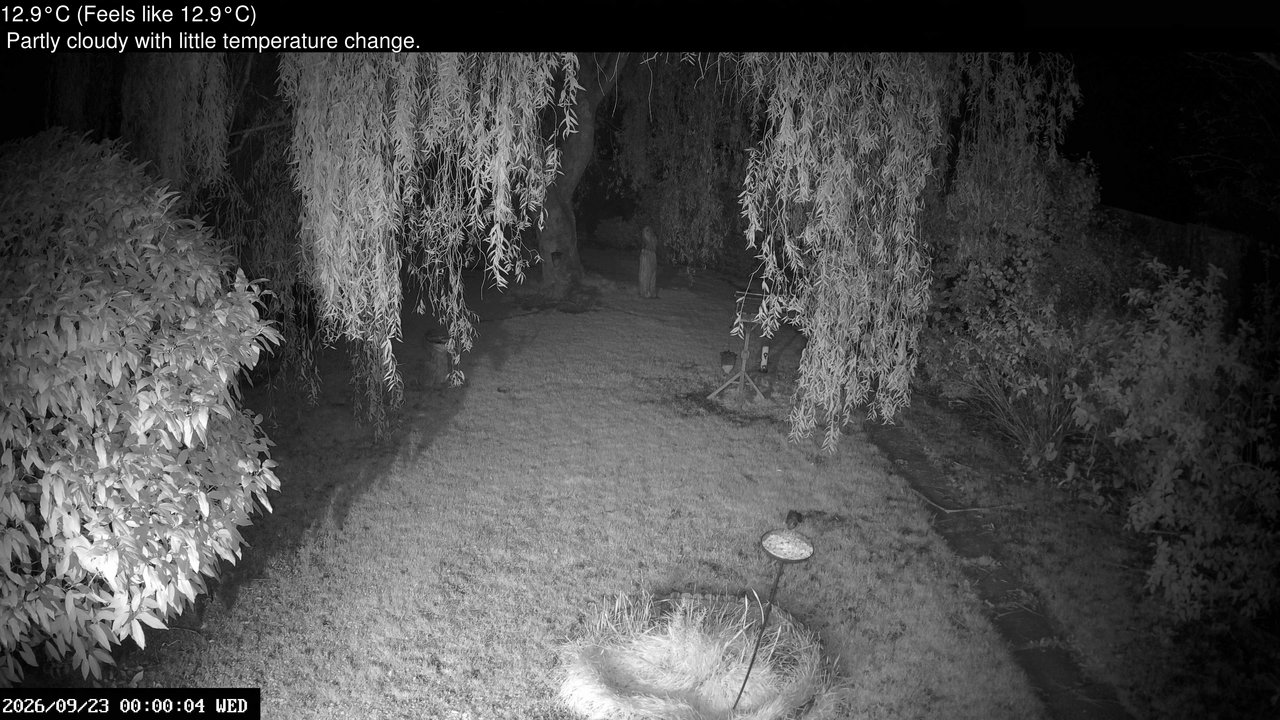 time-lapse frame, Wembury, Devon. Garden Cam webcam