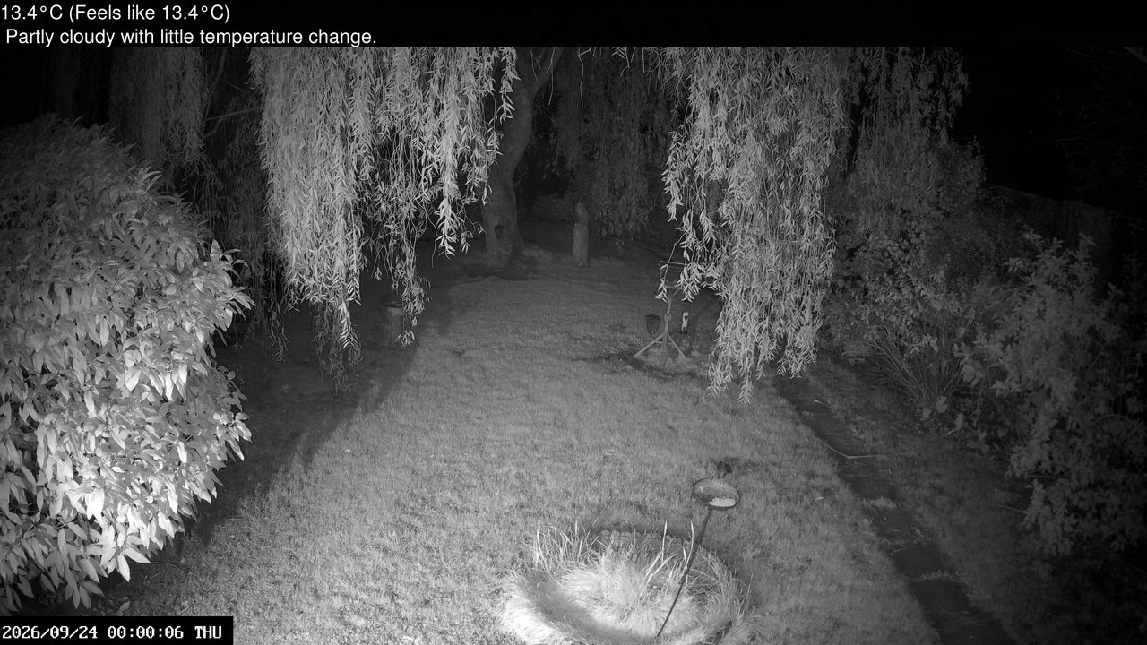 time-lapse frame, Wembury, Devon. Garden Cam webcam