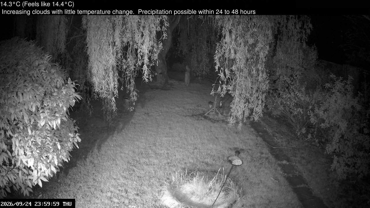 time-lapse frame, Wembury, Devon. Garden Cam webcam