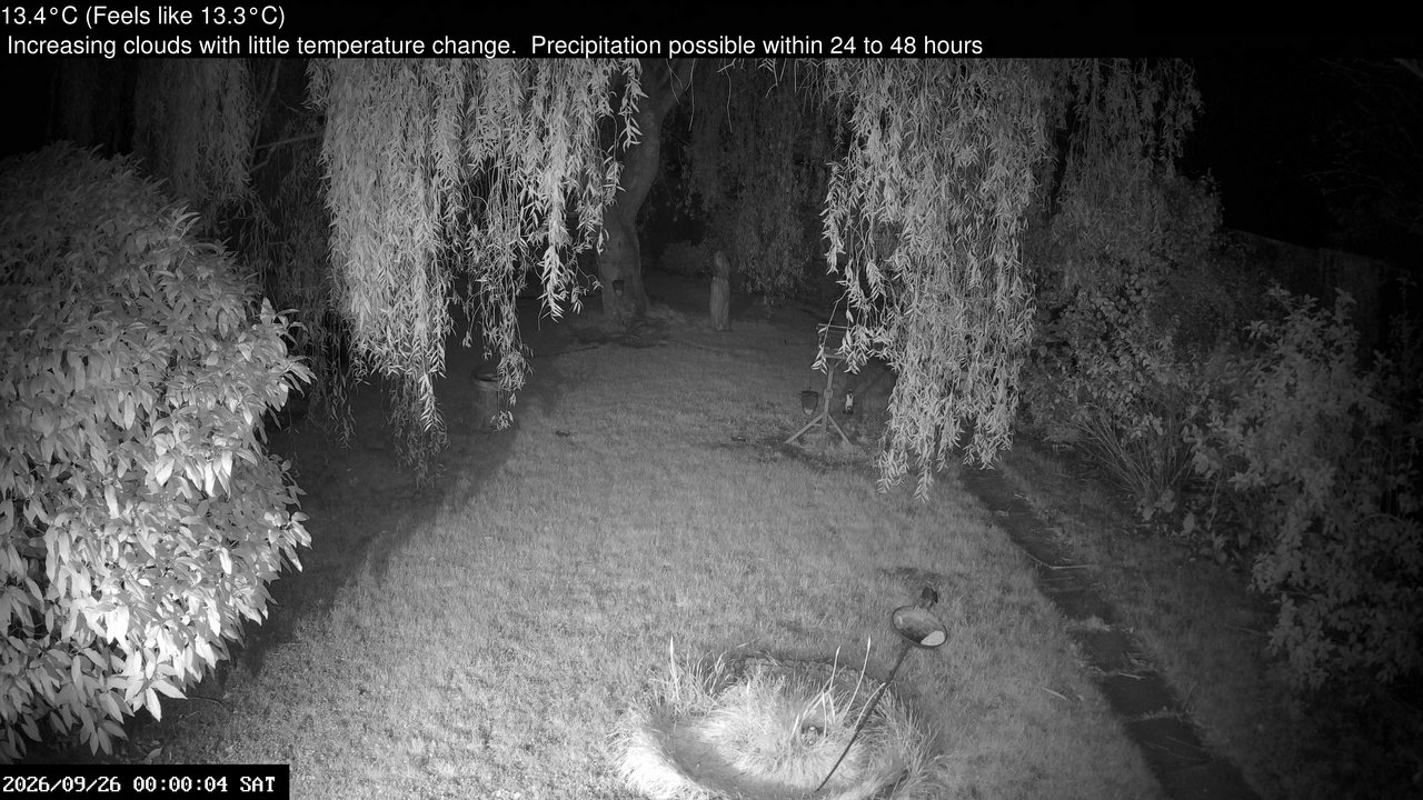 time-lapse frame, Wembury, Devon. Garden Cam webcam