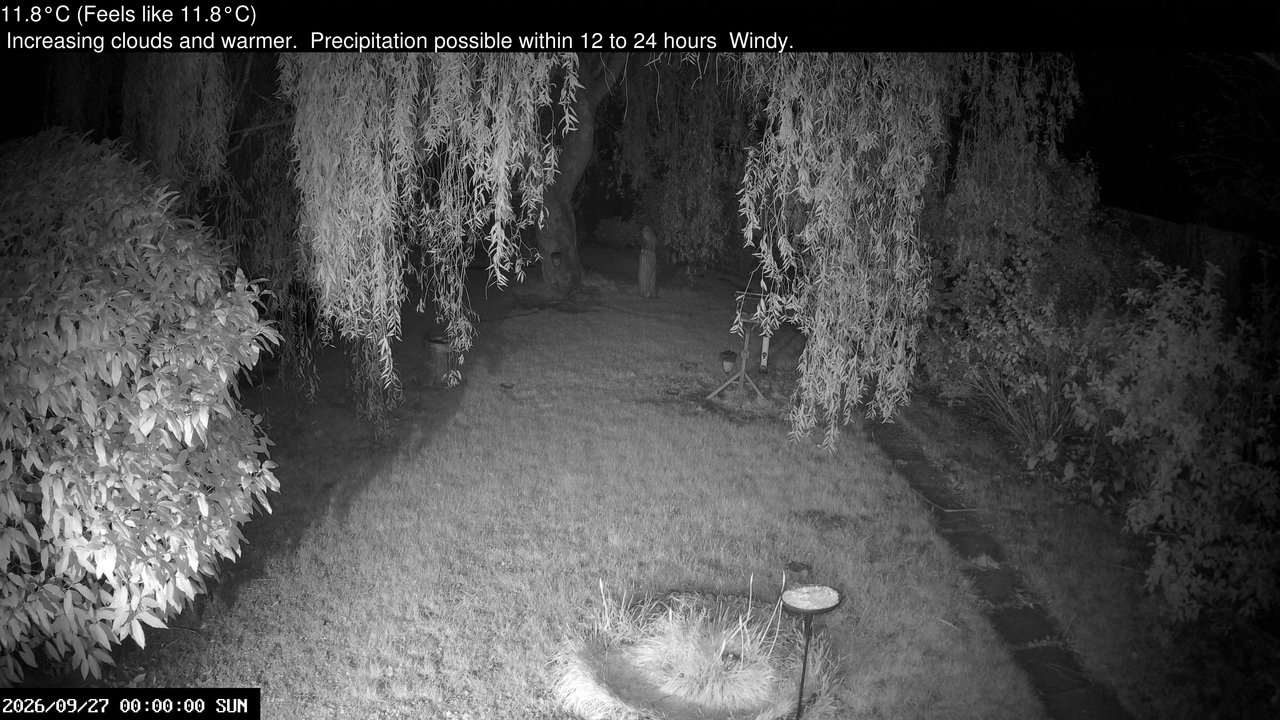 time-lapse frame, Wembury, Devon. Garden Cam webcam