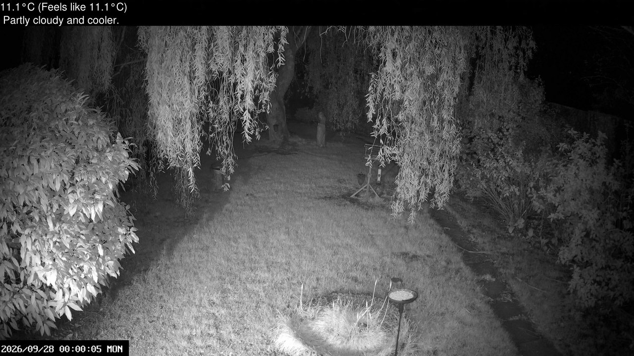 time-lapse frame, Wembury, Devon. Garden Cam webcam
