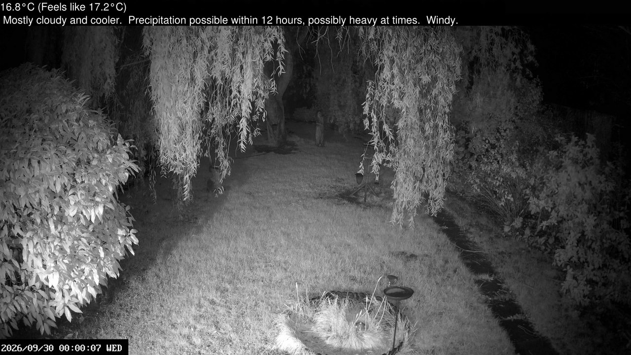 time-lapse frame, Wembury, Devon. Garden Cam webcam