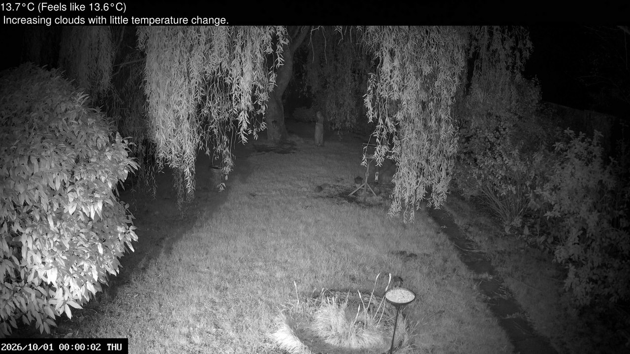 time-lapse frame, Wembury, Devon. Garden Cam webcam