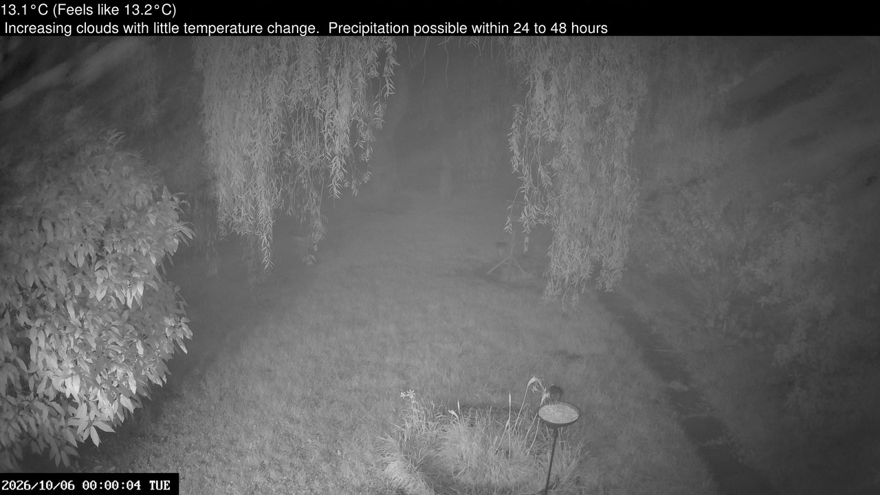 time-lapse frame, Wembury, Devon. Garden Cam webcam