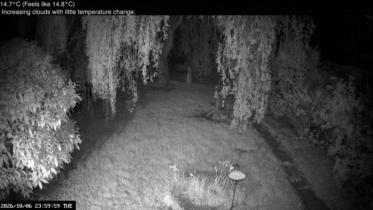 time-lapse frame, Wembury, Devon. Garden Cam webcam